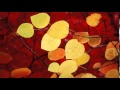 OST Love Story In Harvard Contradiction 갈등