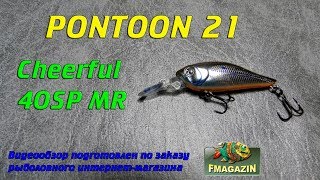 Pontoon 21 cheerful 40