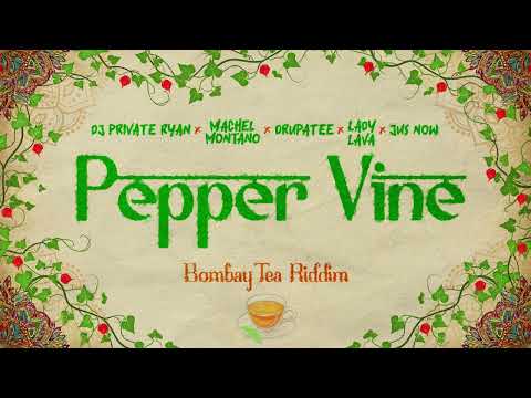 Dj Private Ryan x Machel Montano x Drupatee x Lady Lava x Jus Now - Pepper Vine (Hindi) | Soca 2025