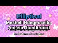 Meshell Ndegeocello - Elliptical (Karaoke)