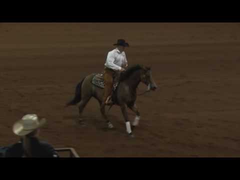 170519 Rodney Beck on KR Dunit Easy NP