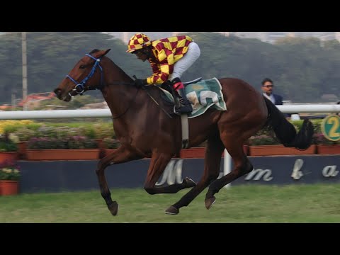 AMERICAL EAGLE wins The Synthesis Trophy Div-2