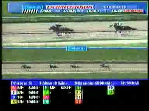 1ERA CARRERA SABADO 01 SEPTIEMBRE LA RINCONADA AUDIOHIPISMO