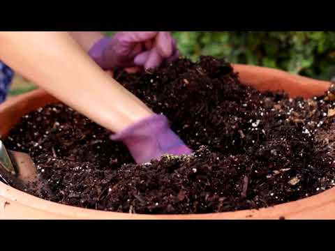 Reč struke ep. 165 27.03.2018. - Uređenje balkona i terasa