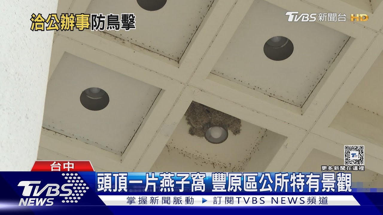 我上看下看左看右看 燕子窩下的行人看過來