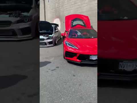 Mustang Club at Reaper Custom🚙