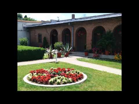 20150823 NICOLAE BALASOIU    DUMINICA A 12 A DUPA RUSALII – TANARUL BOGAT