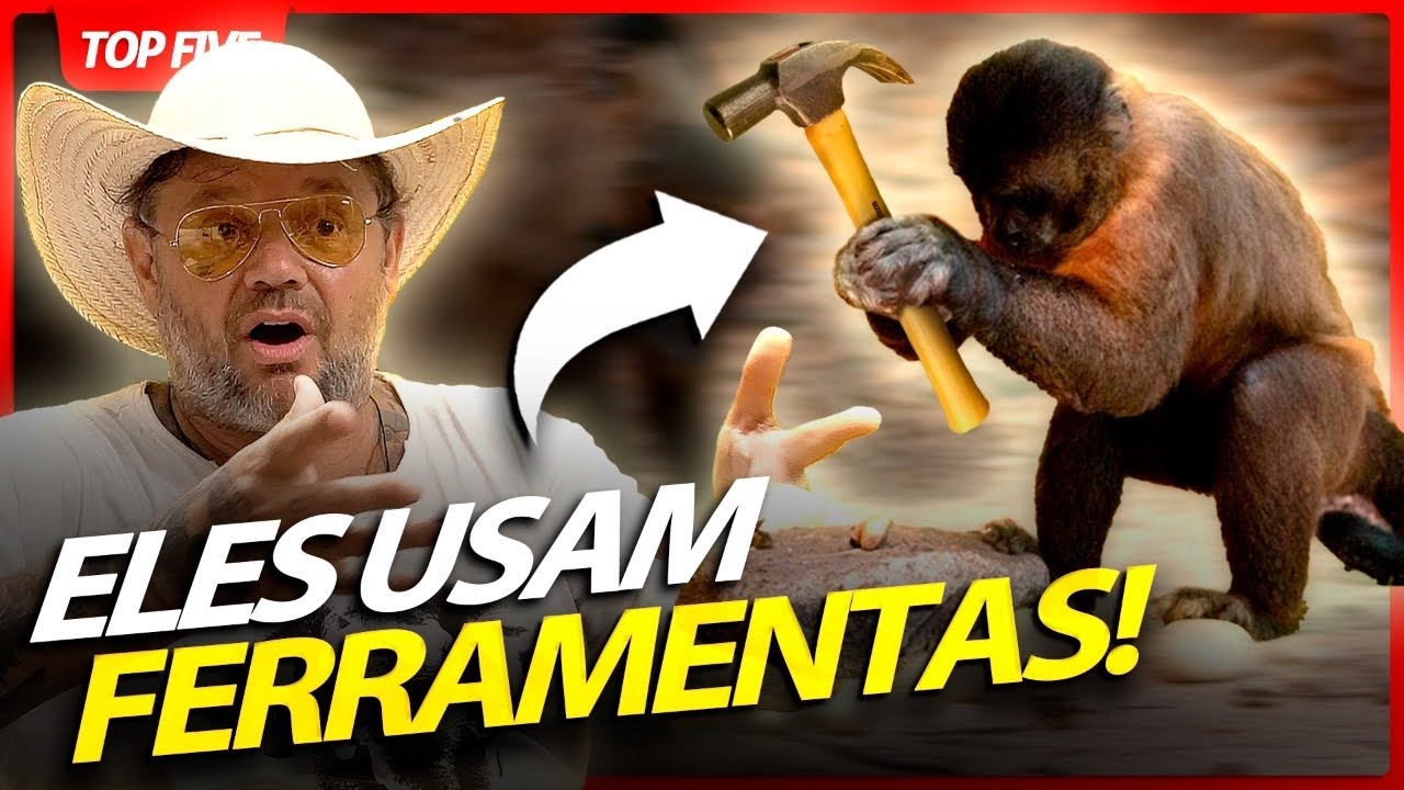 OS ANIMAIS MAIS INTELIGENTES DO MUNDO! | RICHARD RASMUSSEN