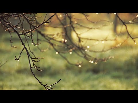 Müziksiz İlahiler - Ya İlahi