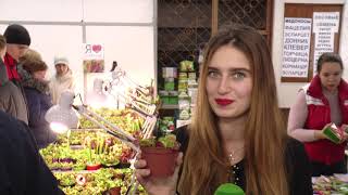 У Харкові відкрилась виставка хижих рослин