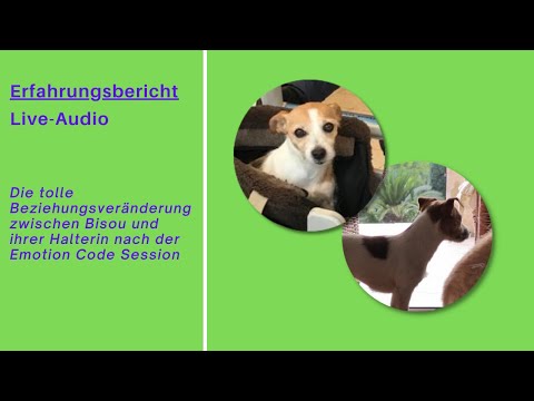 Die tolle Beziehungsveränderung zwischen Bisou und ihrer Halterin nach der Emotion Code Session