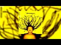 Nengo Vieira 05 Graça CD Avivamente 2007