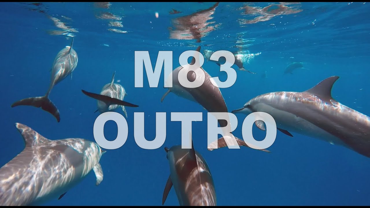 M83 Outro - Mauritius scuba diving Video facade placeholder
