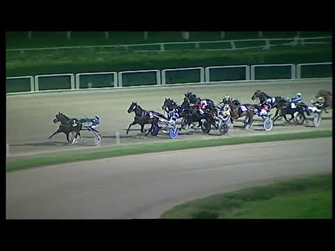 Napoli Trotto 12/12/2021 - 7ª corsa