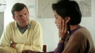 Illegal prostitutes in the Netherlands