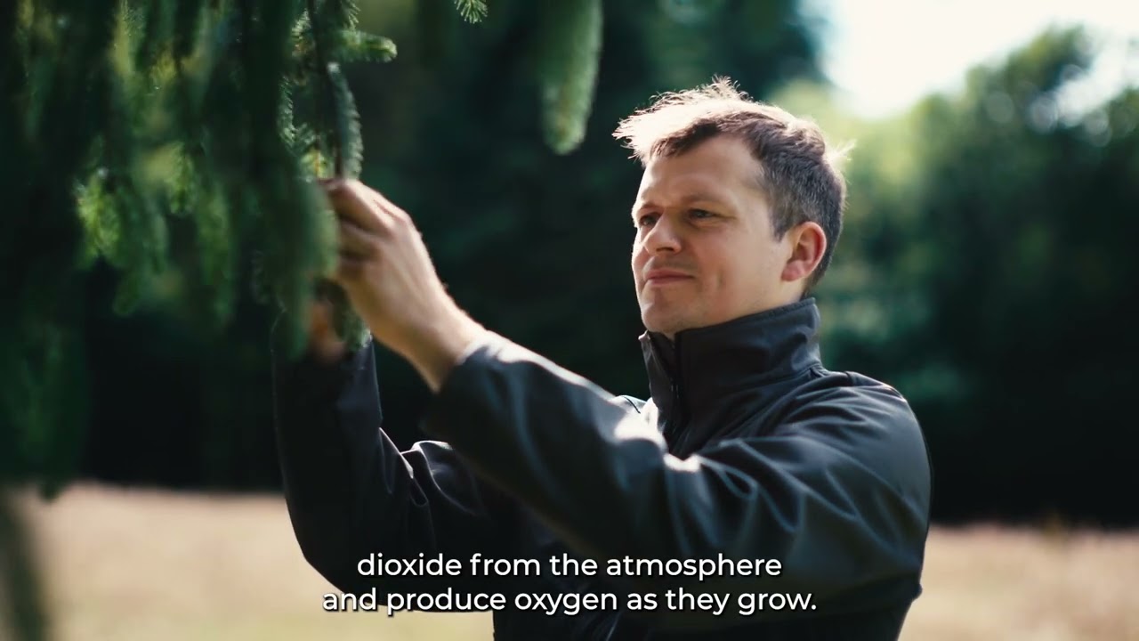 Coillte, forests for climate. For a Greener Future for All.