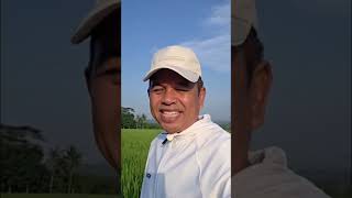 Download lagu Siapa Yang Gak Mau Mandi || Kang dedi Mulyadi #kdm #kangdedymulyadi #dedimulyadi mp3 Download lagu Siapa Yang Gak Mau Mandi || Kang dedi Mulyadi #kdm #kangdedymulyadi #dedimulyadi mp3