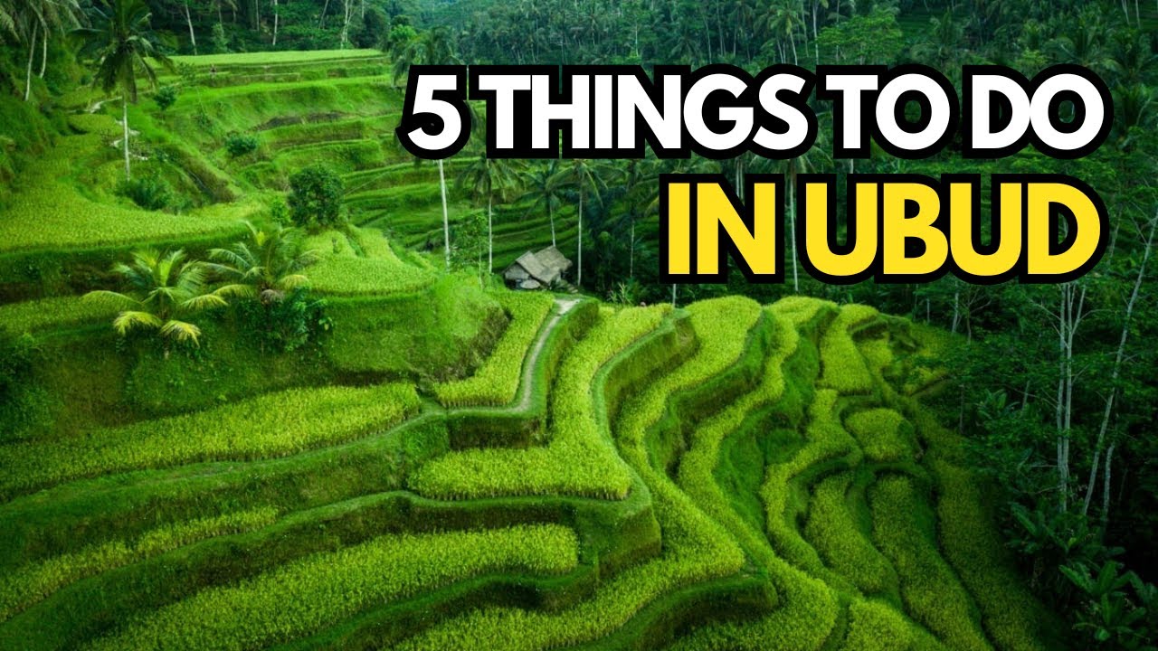 Top 5 Things to Do in Ubud, Bali | Best Activities in Ubud 2024