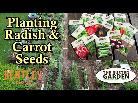 , title : 'How to Plant Radish & Carrot Seeds in Your Garden: The Rusted Garden & Bentley Seeds QR Code Video'