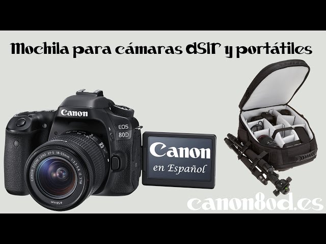 Vídeo relacionado con NEEWER 2 en 1 Mochila con Ruedas para Cámara con Divisor Prueba de Golpe,Asa Retráctil, Cinturilla, Funda para Lluvia, Mochila de Mano para Cámara, Trípode, Flash, Lente, Portátil, Color Negro, PB027