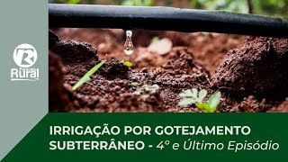 Irrigação por gotejamento subterrâneo — episódio 4