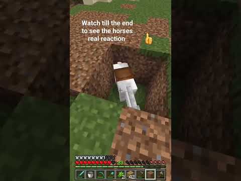 EPIC REACTION: My Horse's Mind-Blowing Response!