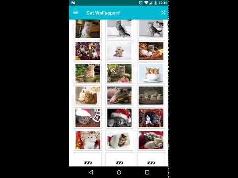 Cat Wallpapers! Video