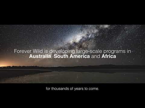 Protect Earth's last wildernesses, $5 per acre