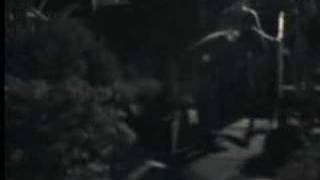 Marco &amp; Polo's Drunken Rampage