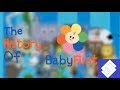 The History Of BabyFirst TV