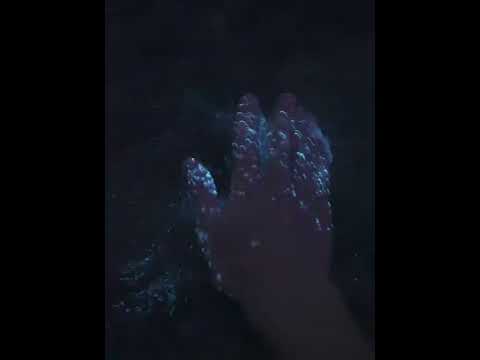 Bioluminescent algae in Limfjord, Denmark | 20.07.2022