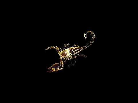 Sad Type Beat 2021 - "Scorpion" | 2021 Rap Instrumental | (FREE)