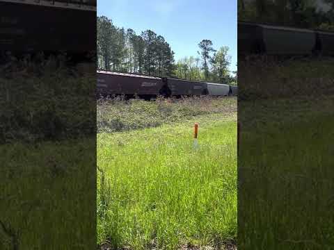 BNSF grain train in Tickfaw, LA