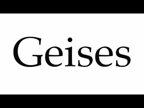 How to Pronounce Geises