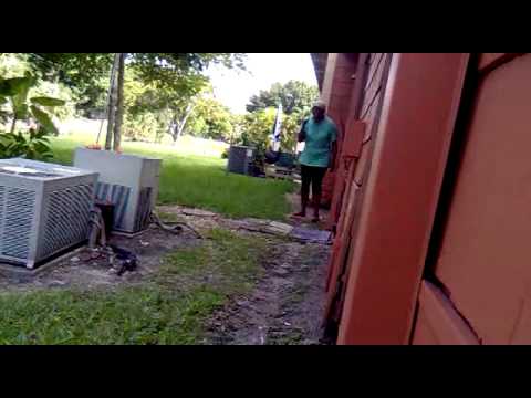 Ackee Fight Gone Wrong