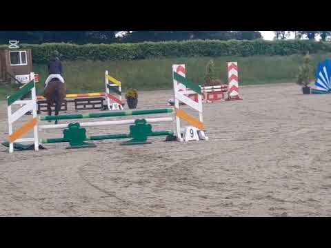 Blakeneys Fionn - Image 2