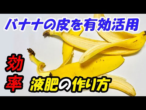 天然肥料としてバナナの皮を好む植物はどれですか?  庭園
