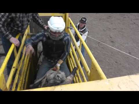 2016 Pasco, WA Bull Riding Clinic- Day 2