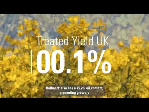 Hallmark OSR