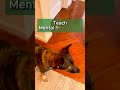Play Video: Door Manners