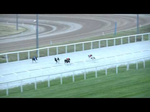 2017.06.30. 5. futam - Agár