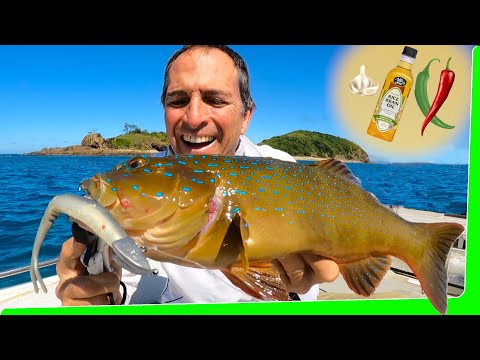 50km offshore - Day 2 Solo boat Camping - Catch and Cook - Tropical Islands - EP.566
