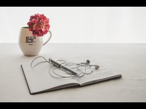 Play Video Youtube Video