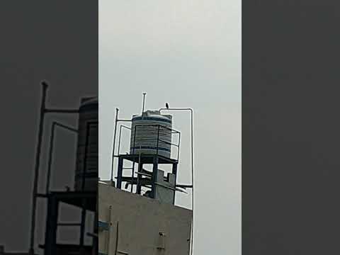 ki 🐦ki 🐦kyuvo 🦜 kikkik 🦜 kikkikikiyuo 🐦 hakkiyu haduthidhe &hearts;️❤️🙏🙏🐦🦜
