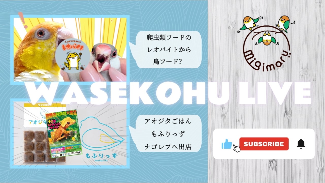 わせこふLIVE#269 　参加するイベントやセミナーの話をするよ！