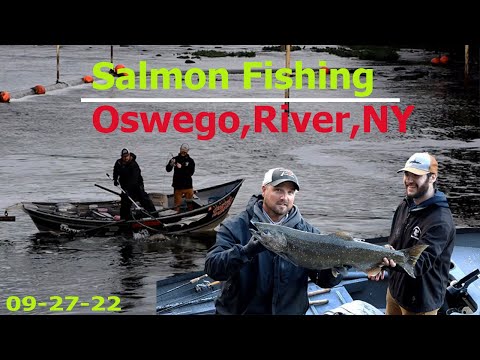 Salmon  Float Fishing 2022 _Oswego River ,NY#salmon #salmonfishing #oswego #floatfishing #fishing