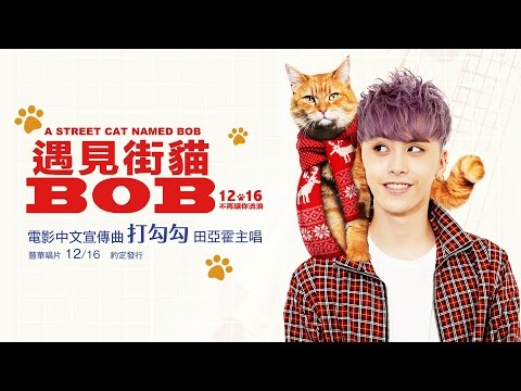 田亞霍-Elvis  【打勾勾 Pinky Swear 】-電影「遇見街貓BOB」中文宣傳曲MV