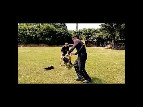 Unique z údolí Úpy - obrana 8 měsíců