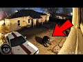 Most Scary Paranormal Videos Submitted By My Audience
