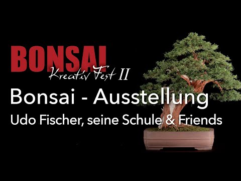 Bonsai Kreativ Fest II 2022, Bonsai - Ausstellung mit Schülern und Absolventen von Udo Fischer